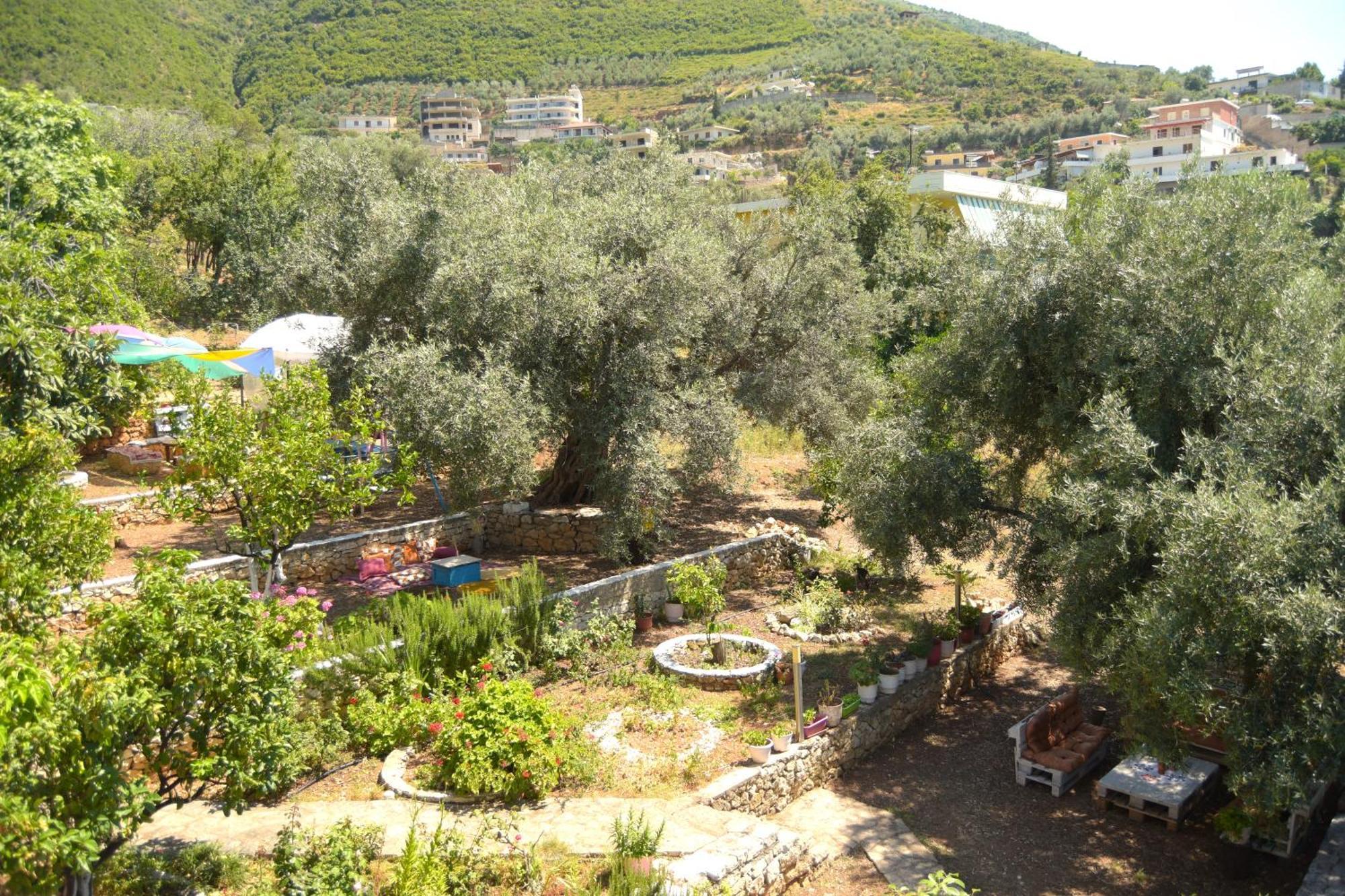 Vila Toskaj Vlorë Exterior foto